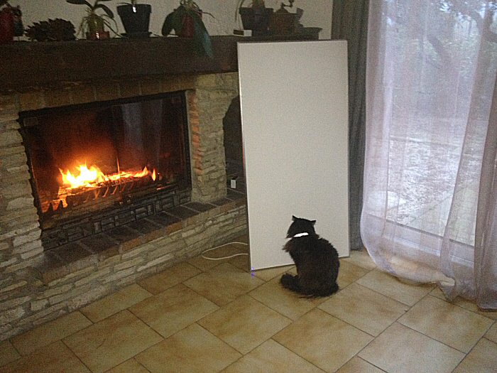 !Un chat au chaud